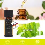 Lemongras, ätherisches Öl 10ml