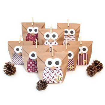 Craft kit "Christmas Owl red"