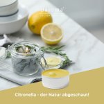 Scented tealights Citronella Set/30,
