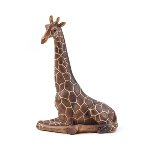 Giraffe sitzend