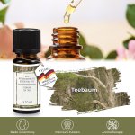 1er Teebaum, Ätherisches Öl, 10ml