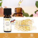 1er Honigkuchen Parfümöl, 10ml
