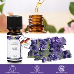 1er Lavender, Perfume Oil, 10ml