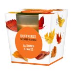 Duftkerze im Glas "Autumn Leaves"