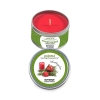 Scented tin-candle Magical Advent "maxi"