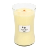 WW HG Lemon Lg, 610 g, glass,
